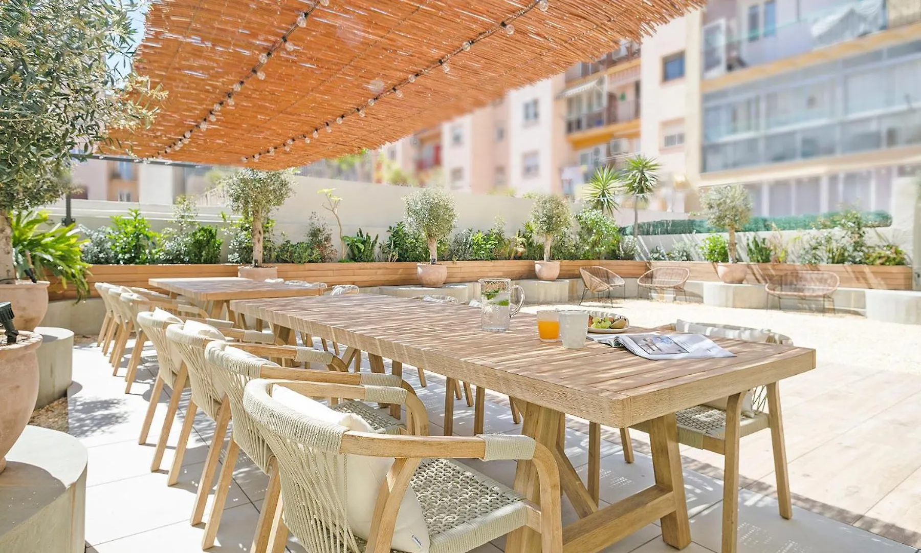 Olivia Barcelona Hostel