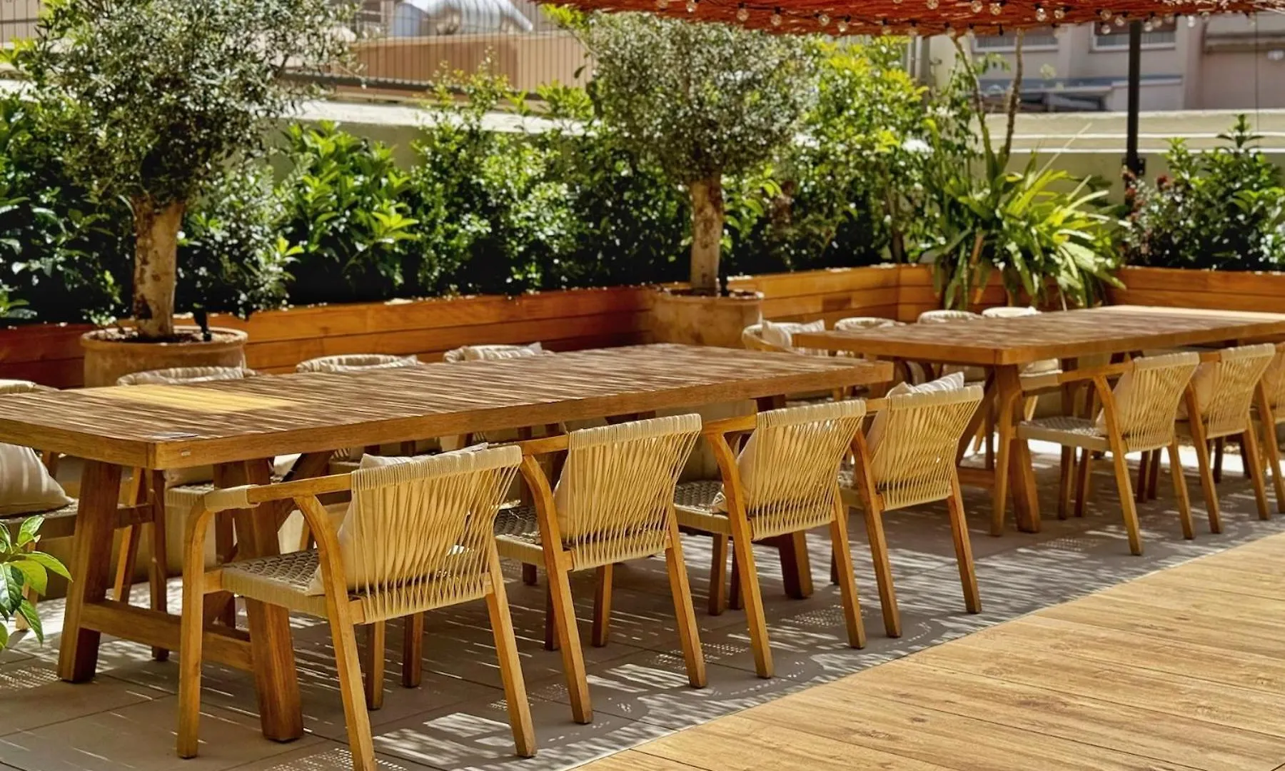 Olivia Barcelona Hostel
