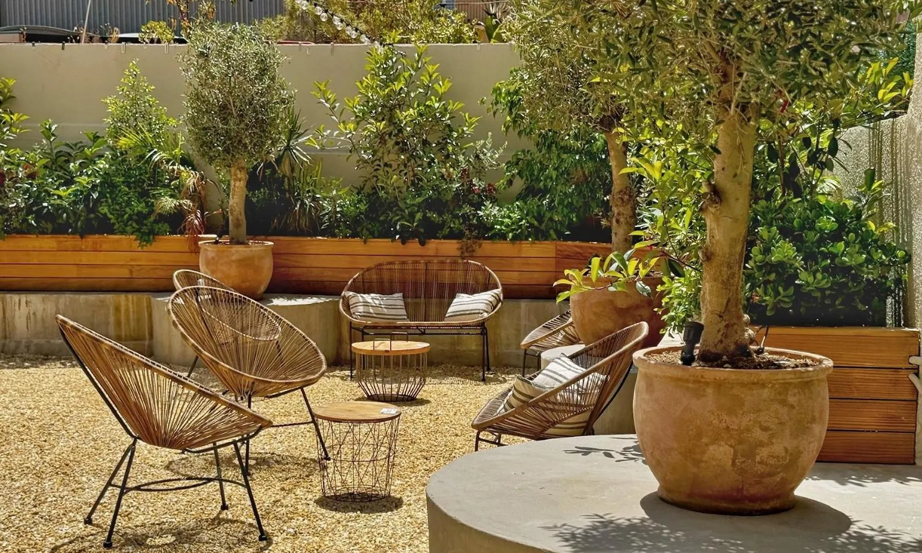 Olivia Barcelona Hostel